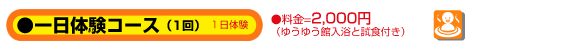 一日体験コース